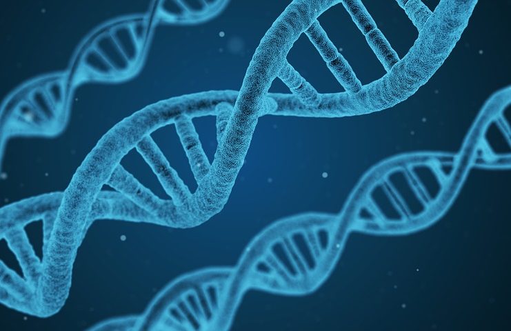 DNA illustration used with the historical GeneVentiv article